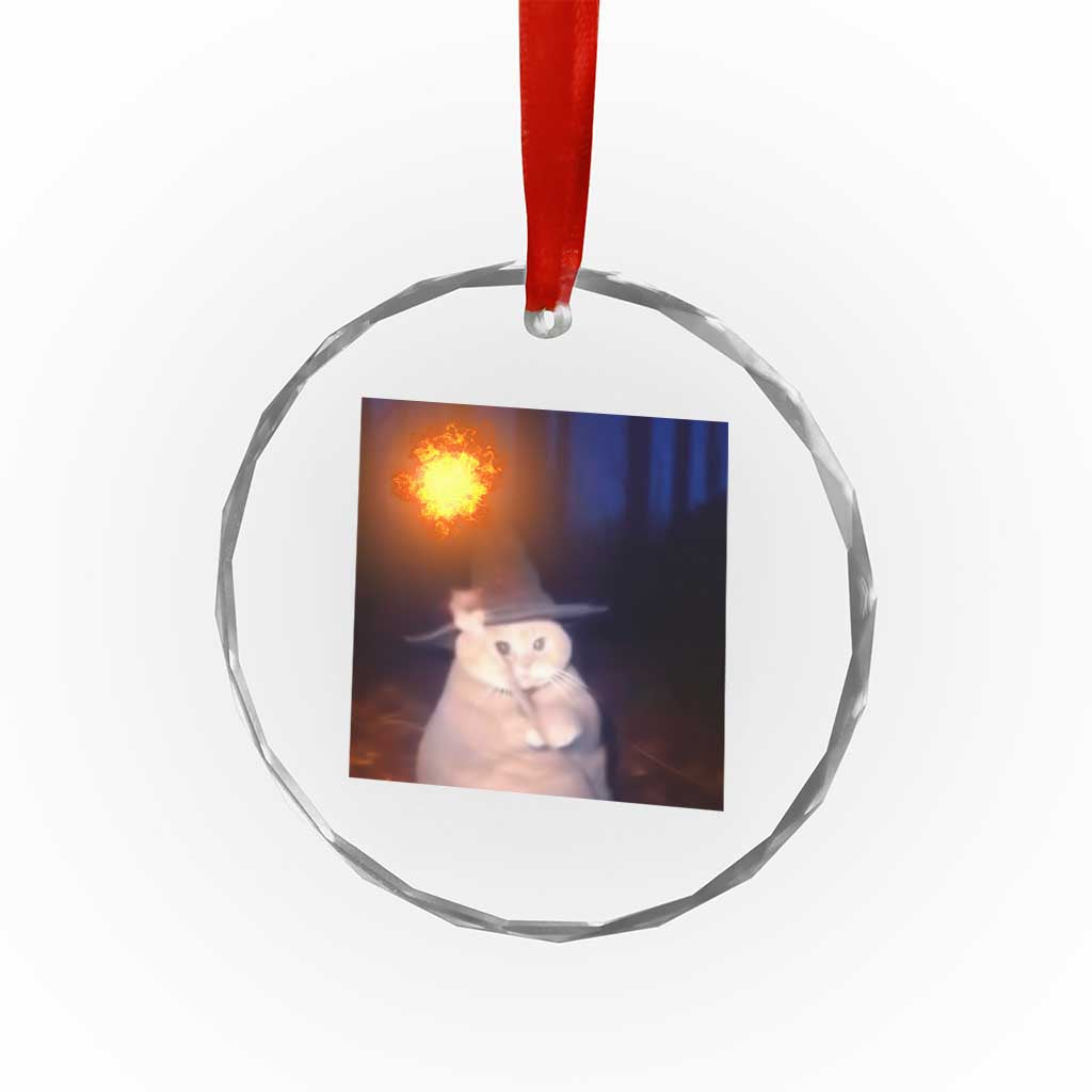 Wizard Cat Crystal Glass Ornament Weird Funny Retro Halloween Orange Cat Meme TS10 Print Your Wear