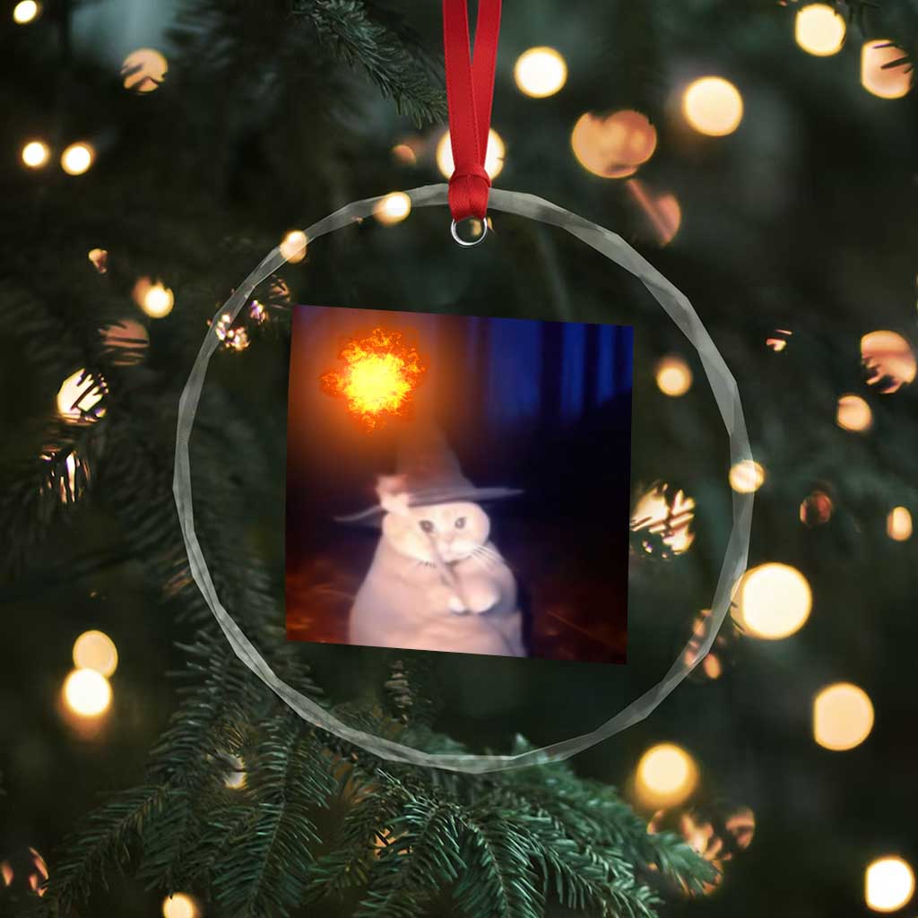 Wizard Cat Crystal Glass Ornament Weird Funny Retro Halloween Orange Cat Meme TS10 Print Your Wear