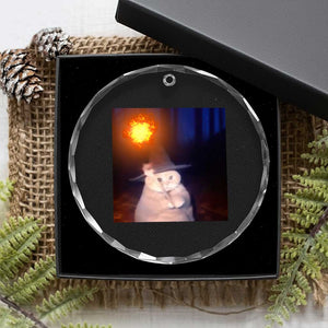 Wizard Cat Crystal Glass Ornament Weird Funny Retro Halloween Orange Cat Meme TS10 Print Your Wear