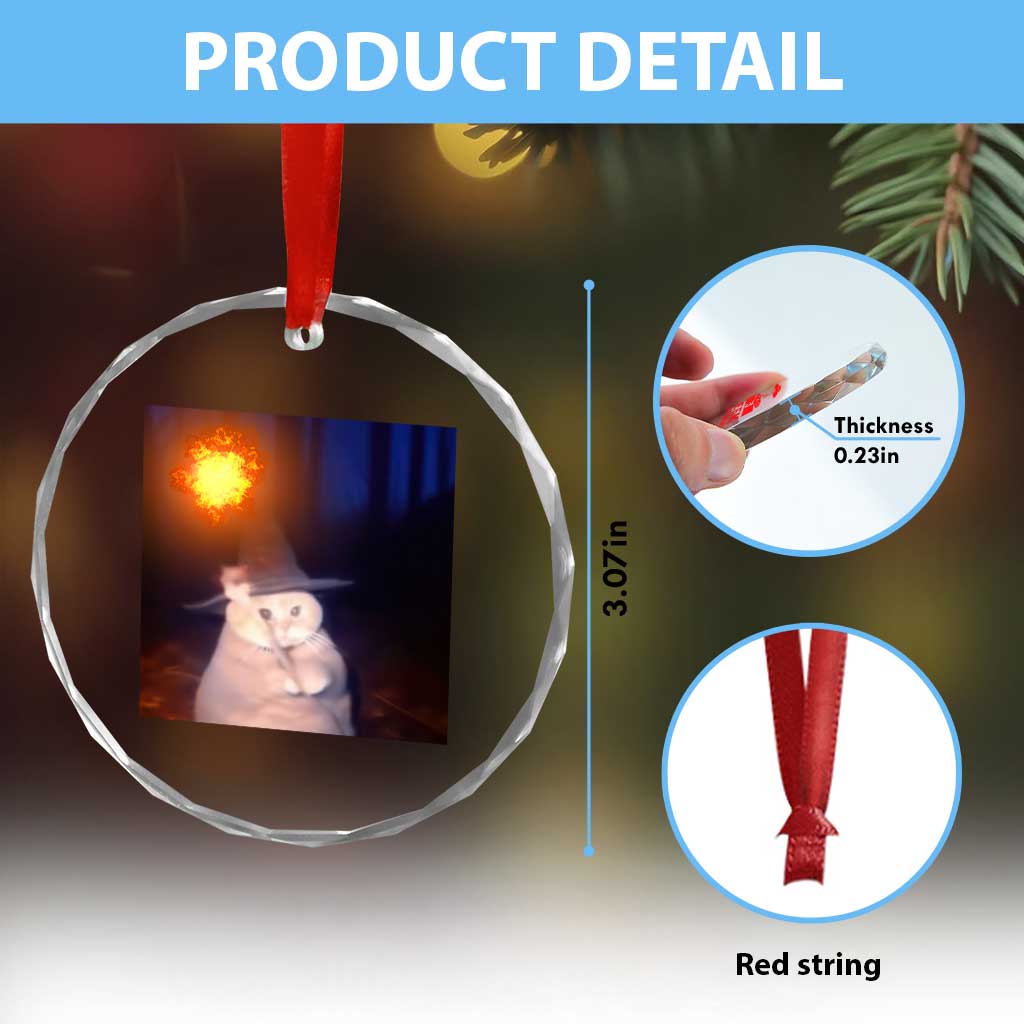 Wizard Cat Crystal Glass Ornament Weird Funny Retro Halloween Orange Cat Meme TS10 Print Your Wear