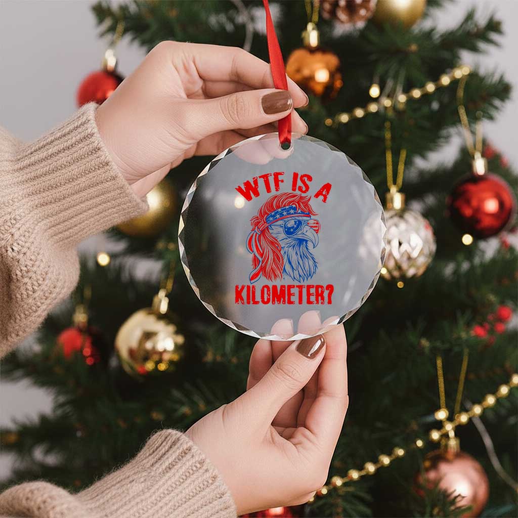 WTF is A Kilometer Crystal Glass Ornament Patriotic Eagle 4th of July USA American Flag TS14 Print Your Wear