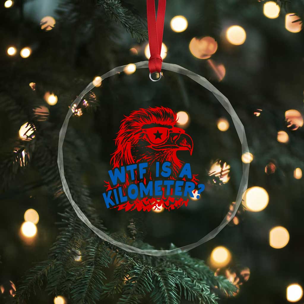 WTF Is A Kilometer Funny American Bald Eagle Crystal Glass Ornament Patriotic 4th of July Humor TS02 Print Your Wear