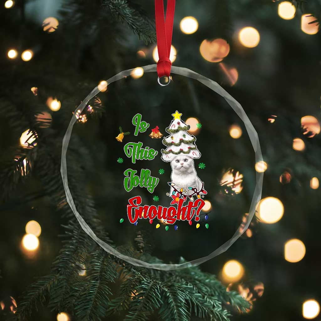 Xmas Cat Crystal Glass Ornament Is This Jolly Enough TS09 Print Your Wear