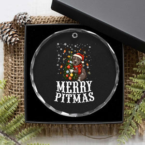 Xmas Pitbull Crystal Glass Ornament Funny Merry Pitmas Tree Hug TS12 Print Your Wear