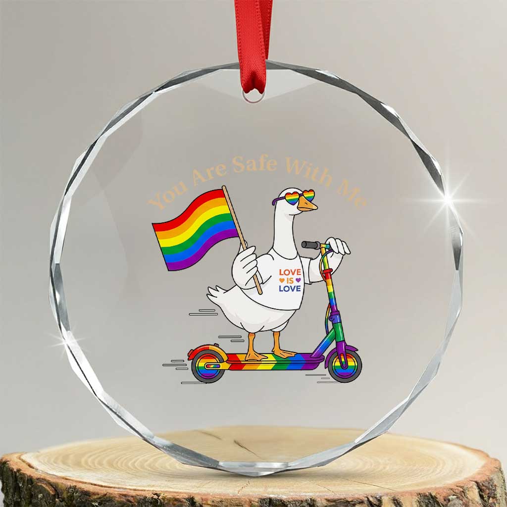 You Are Safe With Me Crystal Glass Ornament LGBTQ Pride Goose Rainbow TS14 Transparent Glass 3'' Circle Print Your Wear