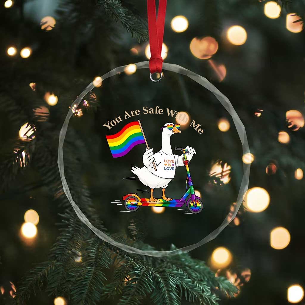 You Are Safe With Me Crystal Glass Ornament LGBTQ Pride Goose Rainbow TS14 Print Your Wear