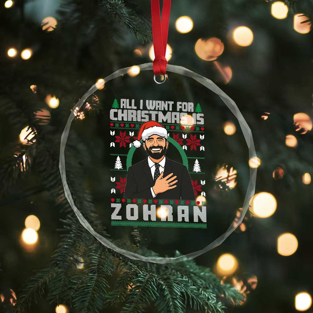 Zohran Mamdani Christmas Crystal Glass Ornament All I Want For Xmas Is New York City TS14 Print Your Wear